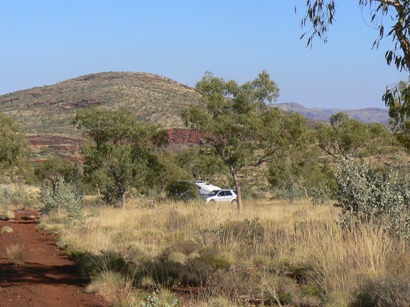 Albert Tognolini rest area view