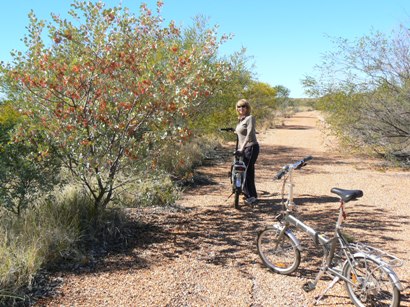Nature bike ride on the old Stuart Highway
