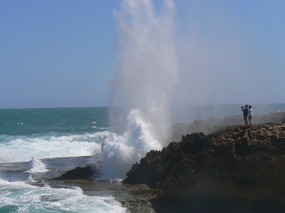 Blowholes in full flight