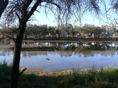 Murchison River from caravan at Galena Bridge Rest Area