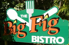 Sign Big Fig