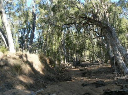 Campaspe River