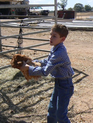 Connor Lyons hypnotises a chook