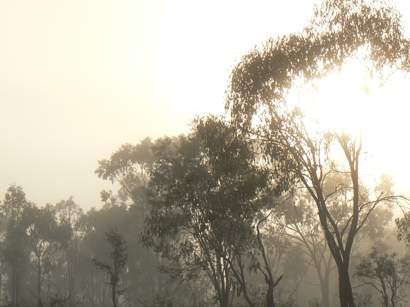 Morning mist - view from the caravan