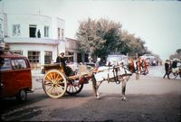 Less modern transport in Herat