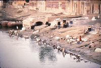 The Ghats at Benares