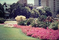 Another view of the garden somewhere in Perth